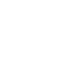 cropped Magic Cat Mesh logo transparent 300x300 1 white