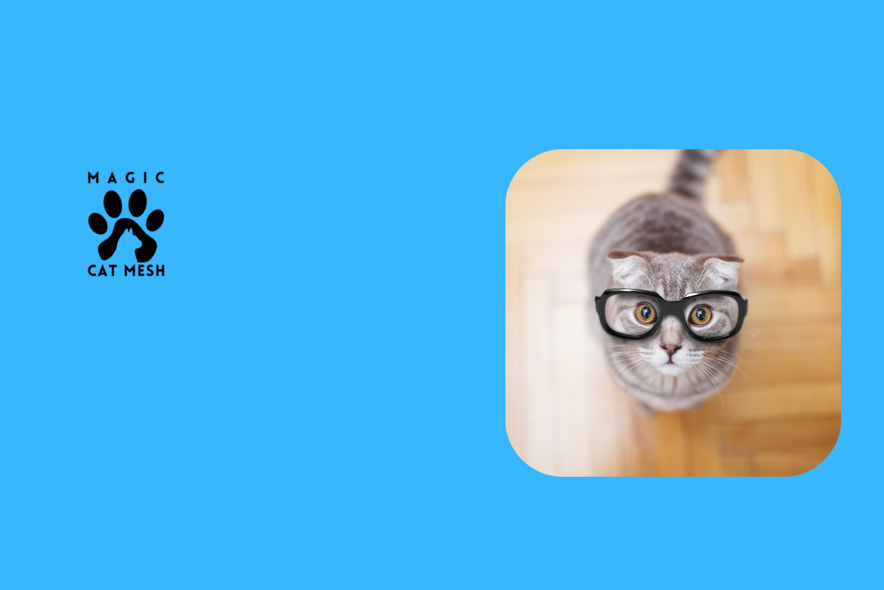 Choosing the Right Mesh for Your Windows: A Simple Guide for Singapore Homeowners