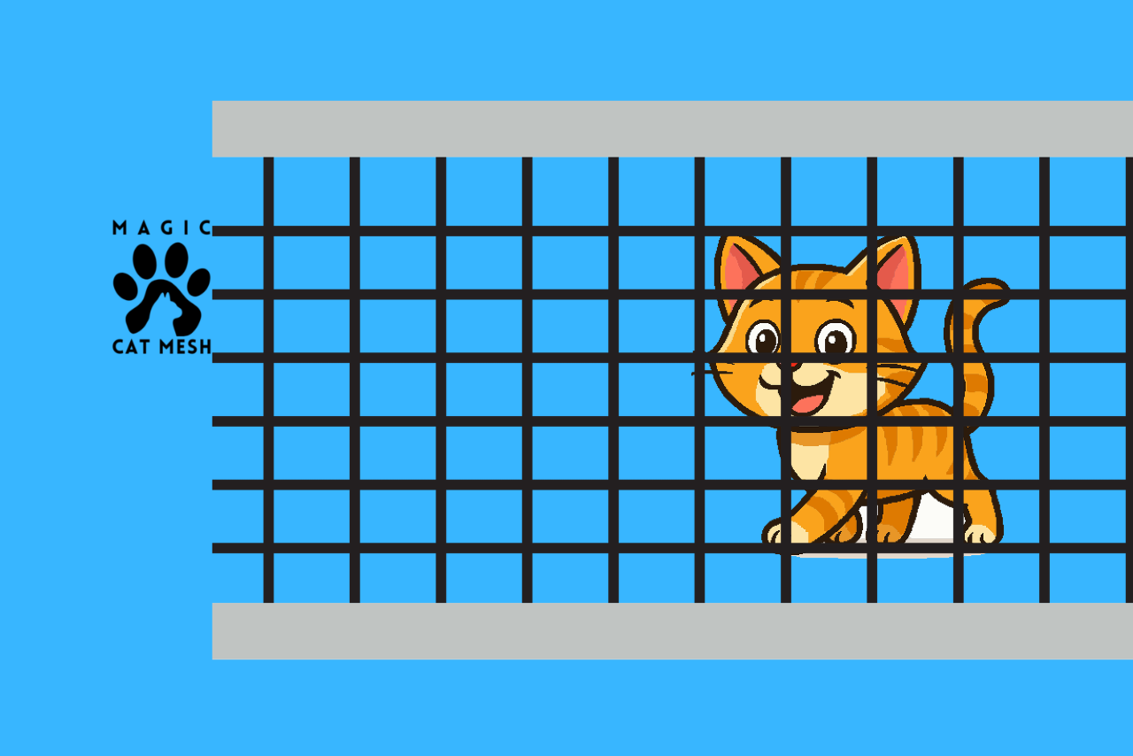 CatNet: The Complete Guide to Cat Safety Nets in Singapore