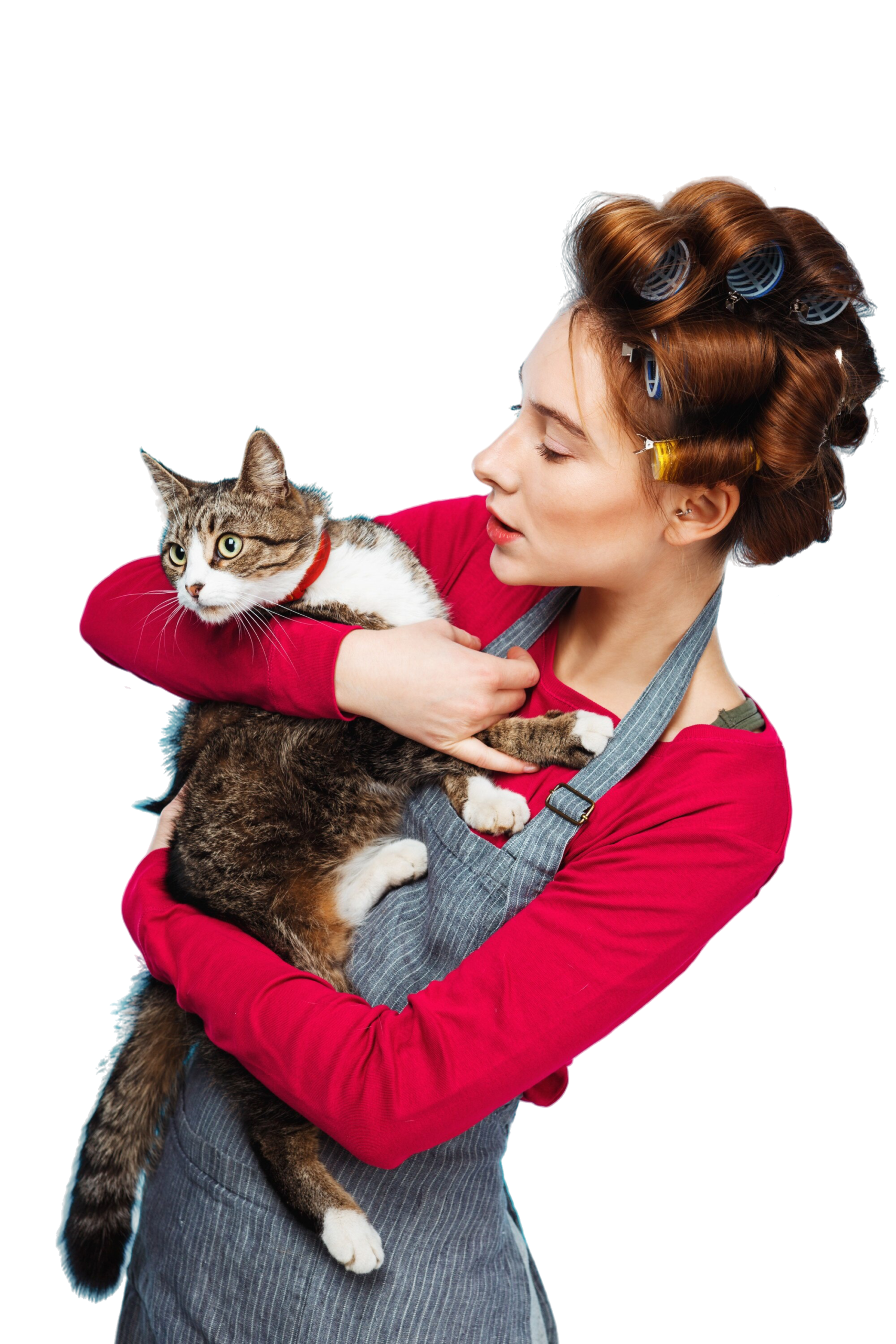 Happy cat with Magic Cat Mesh safety