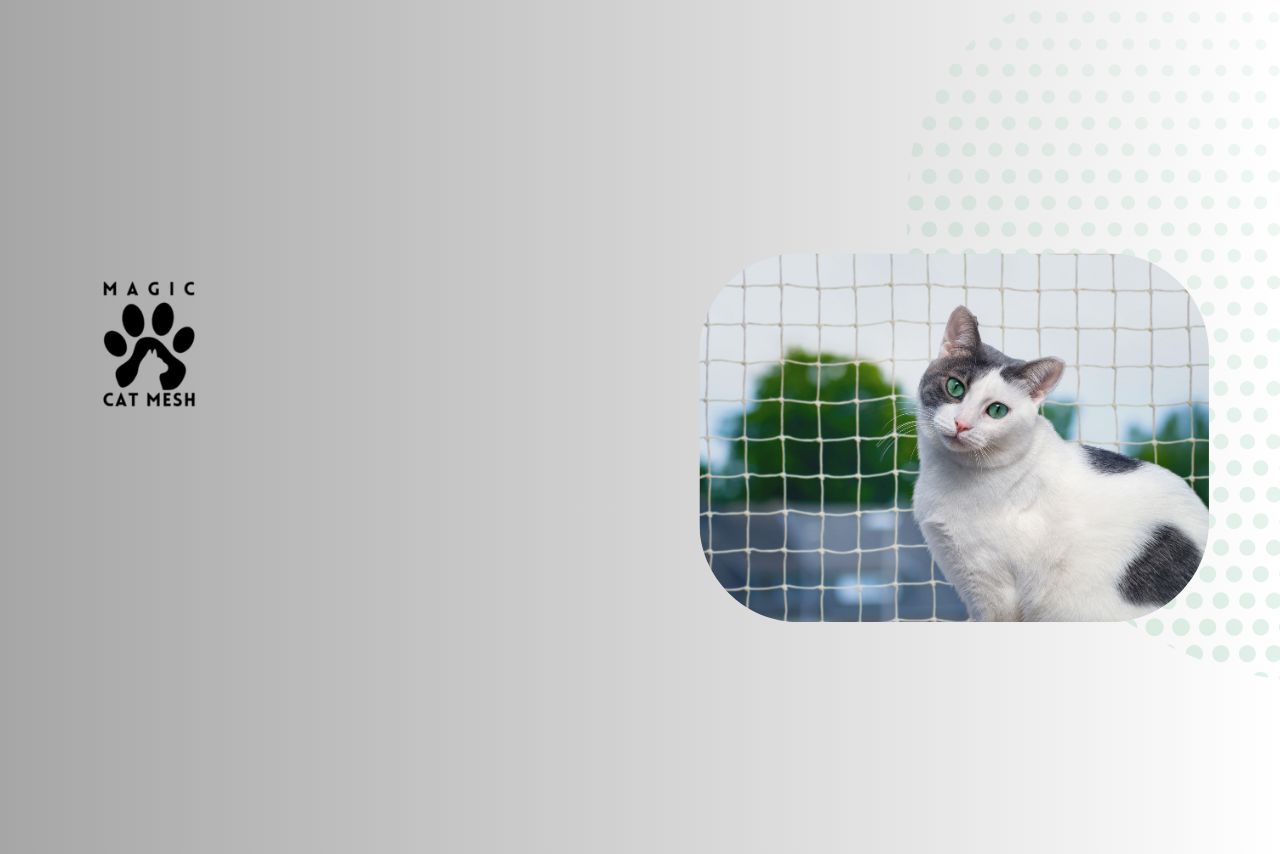 How to Cat-Proof Your Balcony with Safety Mesh