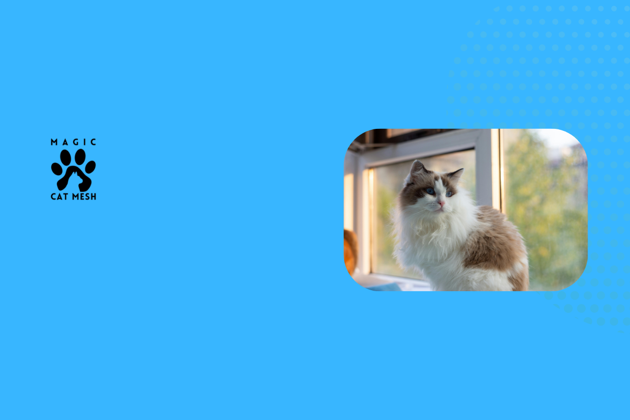 Why Every Cat Owner Needs a Window Mesh Screen in 2026