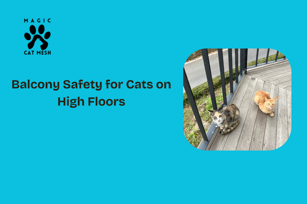 How to Keep Your Cat Safe on High Floors with a Balcony Enclosure