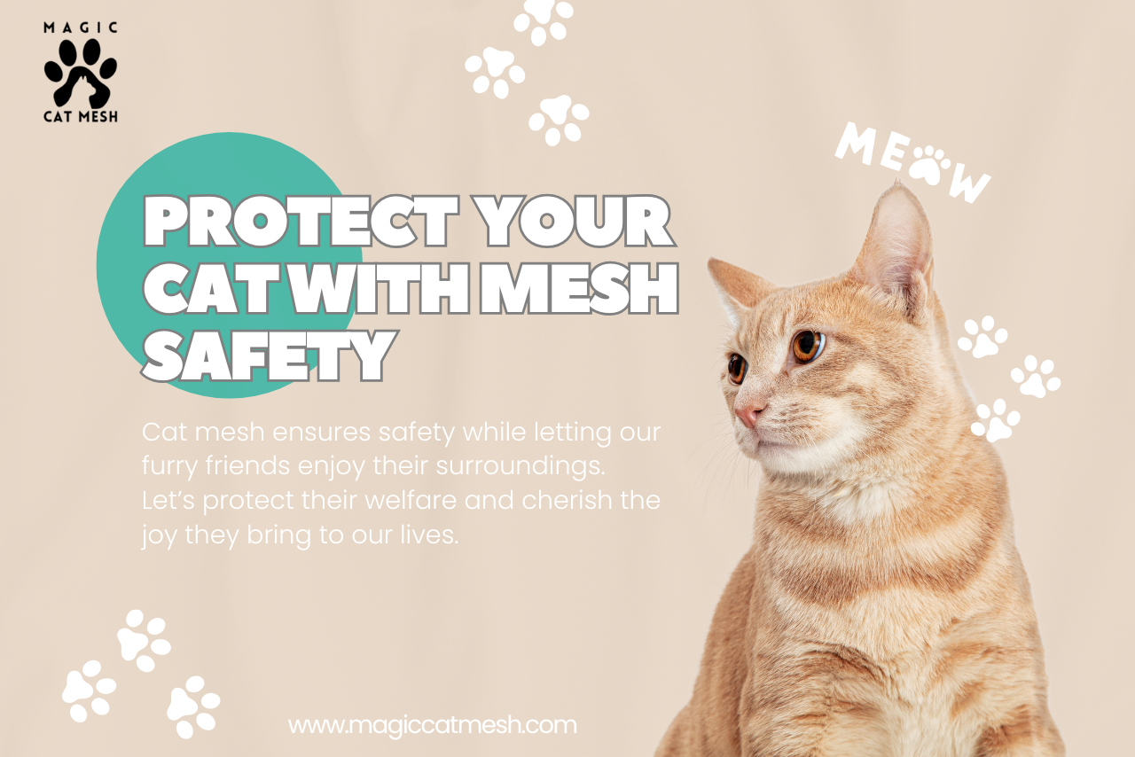 How Cat Mesh Helps Cat People Keep Their Felines Safe and Happy
