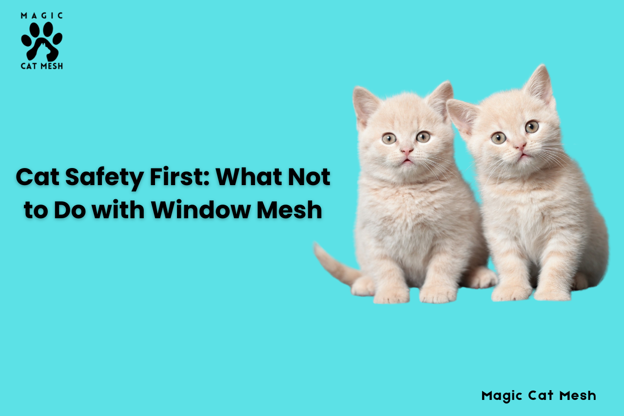 How to Mesh Windows for Cats: CommonMistakes to Avoid