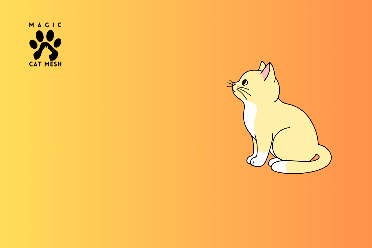 Cats in HDB Flats Rules in Singapore and Latest Regulations Explained