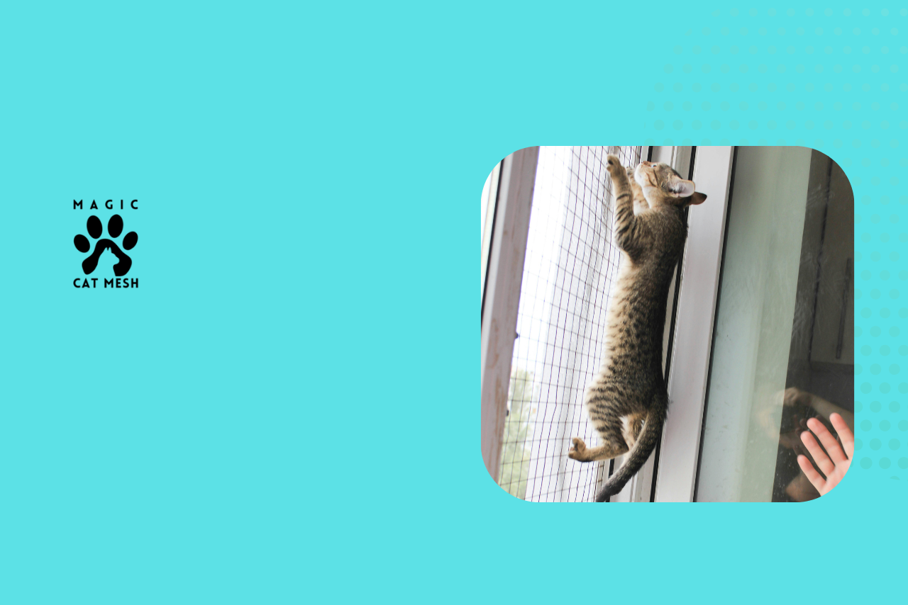 Why Indoor Cats Need Window Mesh in Singapore’s High-Rise Homes