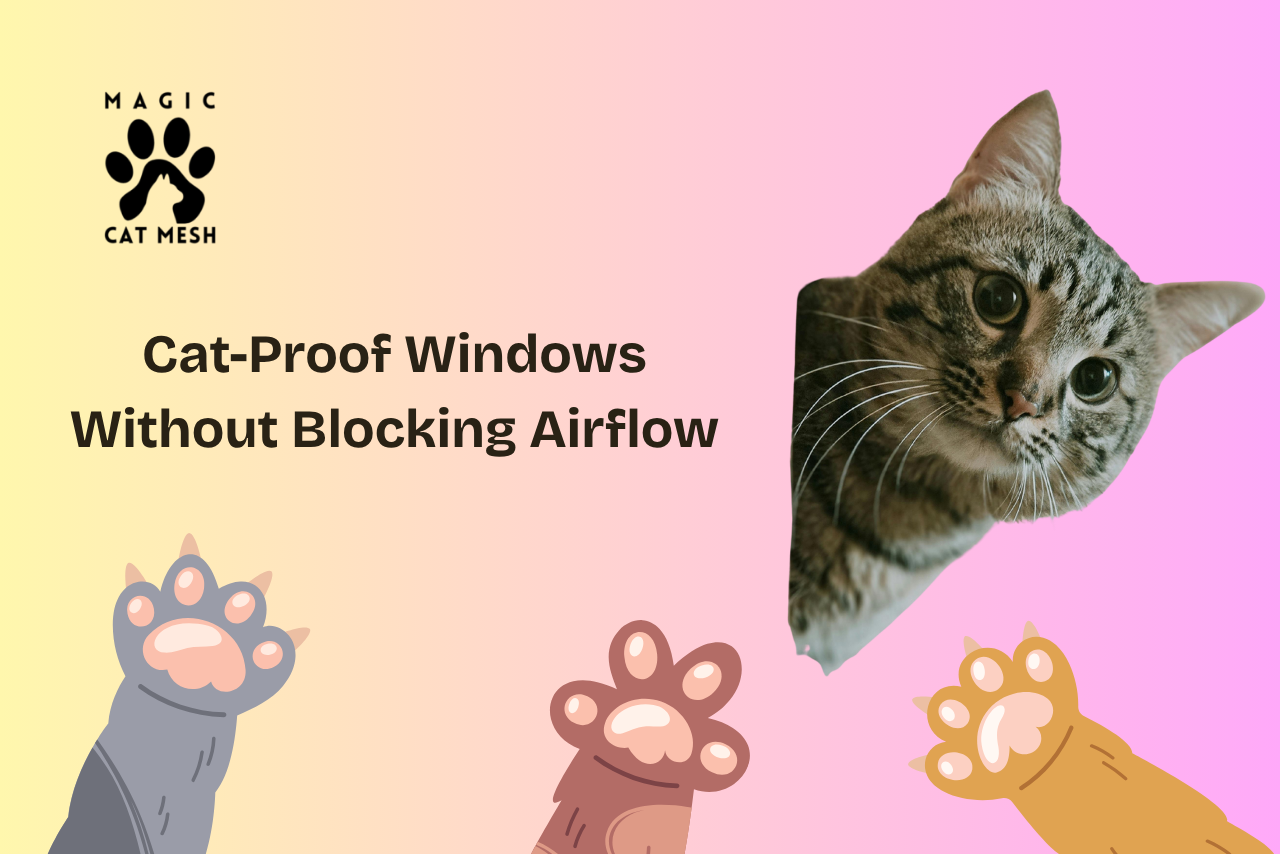 How to Cat-Proof Your Windows Without Blocking Fresh Air