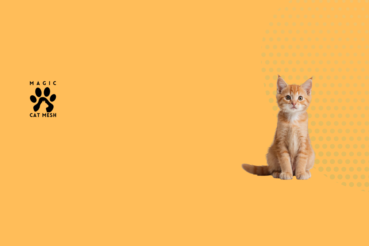 Why Cat Mesh Is a Must-Have for Singapore Homes in 2026
