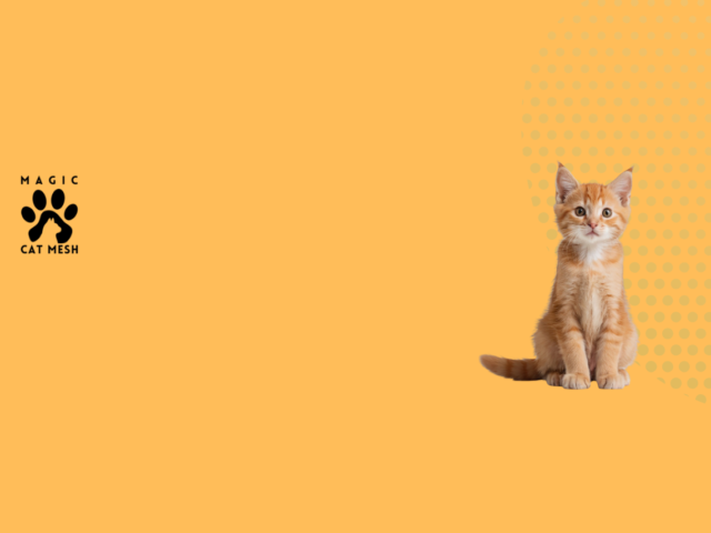 Why Cat Mesh Is a Must-Have for Singapore Homes in 2026