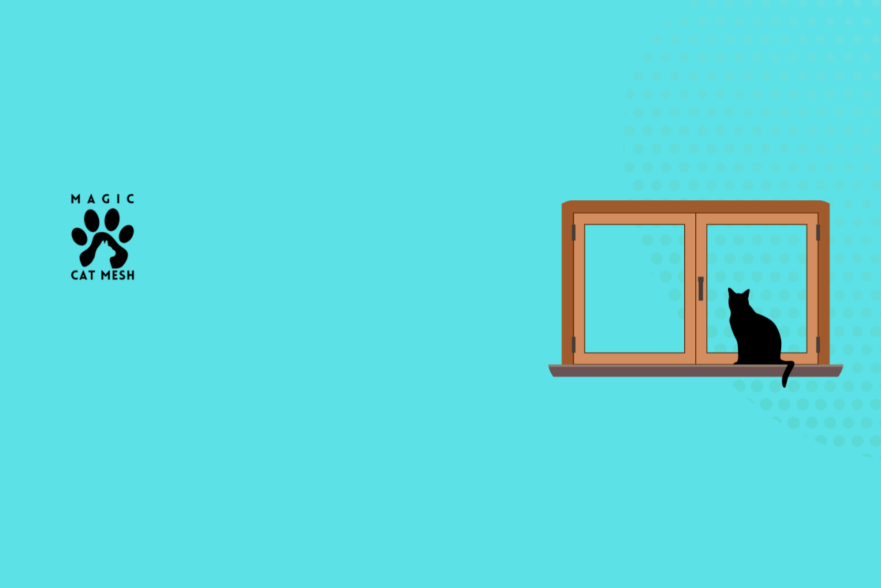 Why Every Singapore Cat Owner Should Install a Window Mesh for Home Safety in 2026